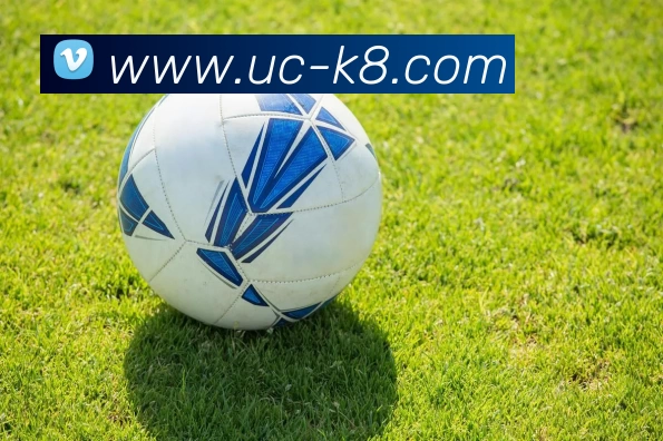 凯发娱乐平台生态图